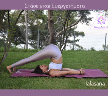 3 στάση Ηalasana 360x320