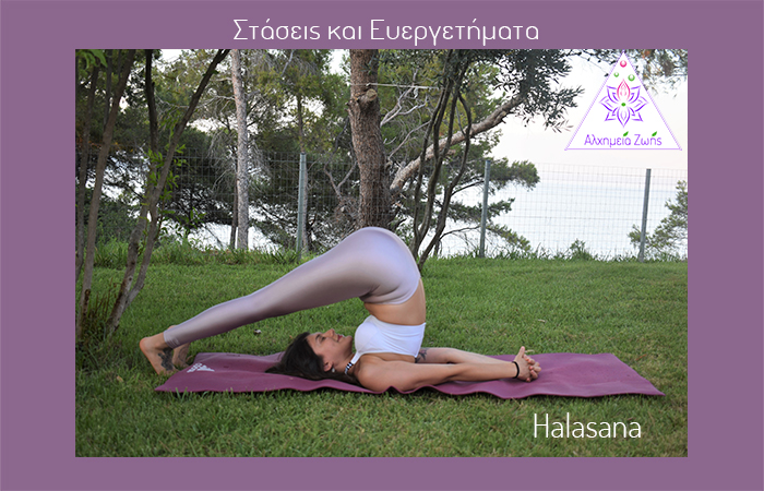 3 στάση Ηalasana