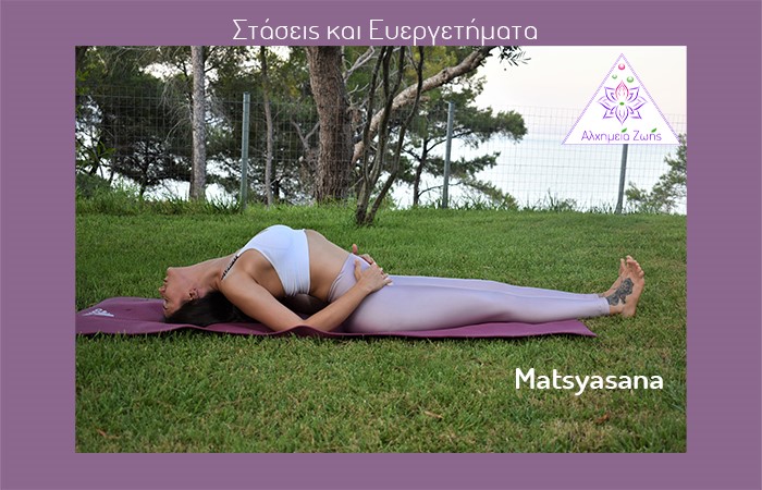 Thumbnail 2 στάση Matsyasana