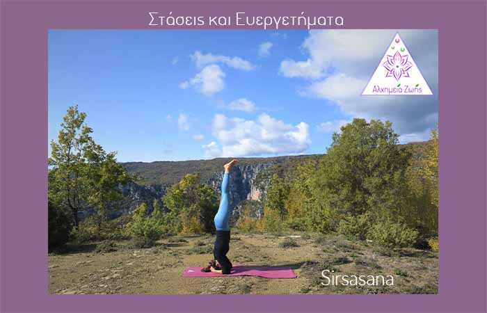 5 Sirsasana